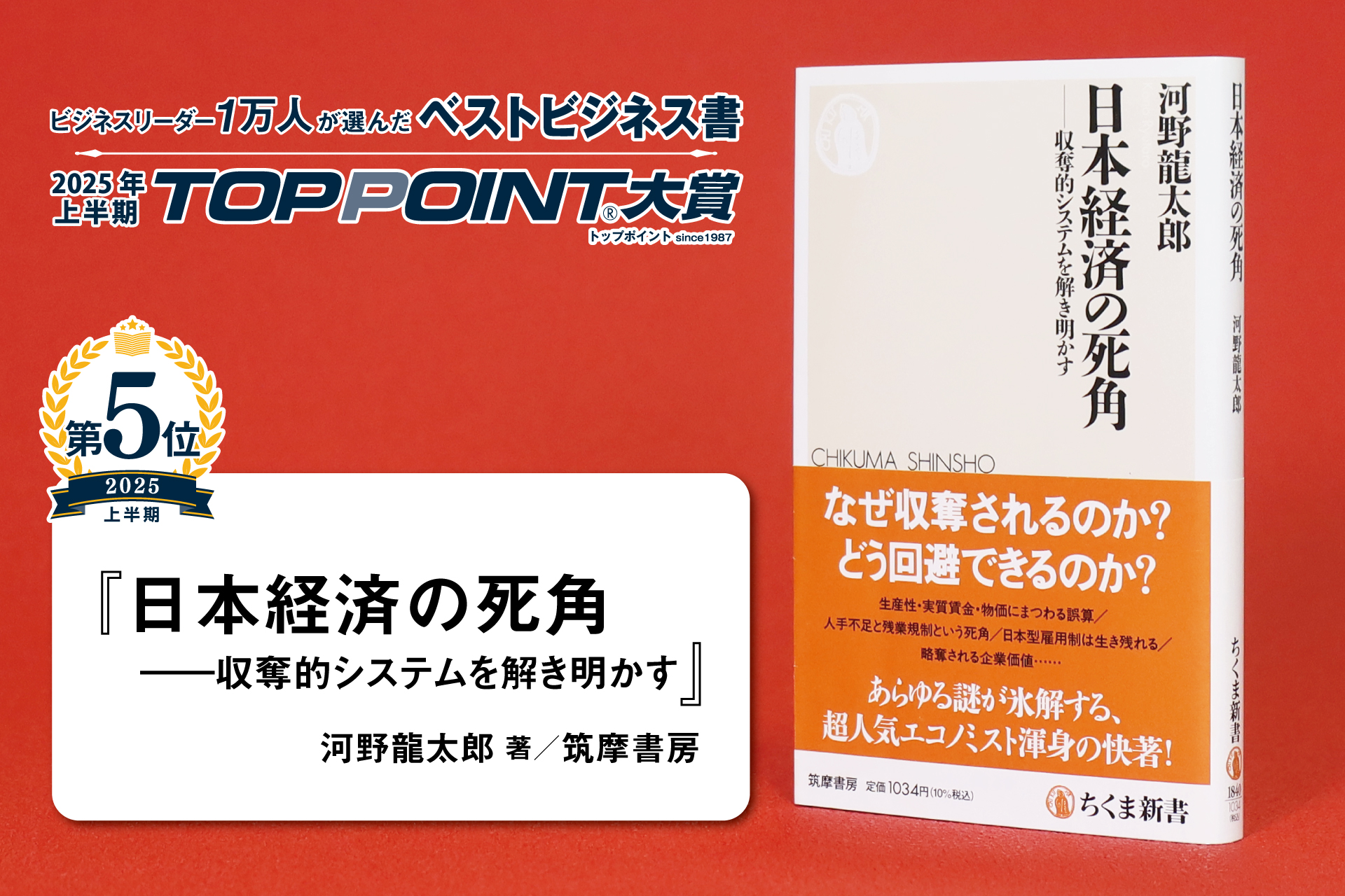 日本経済の死角　――収奪的システムを解き明かす